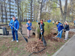 Единороссы Москвы участвуют в общегородском субботнике
