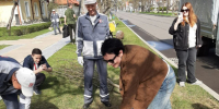 Во время субботника на ВДНХ посадили груши, розы и установили ремизы для полезных насекомых - Восточный округ