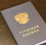 В ГД внесен проект о включении времени простоя на работе в трудовой стаж - M24.Ru