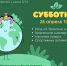 Приглашаем на весенний субботник 26 апреля - Район Арбат