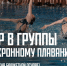 Юных москвичек приглашают на занятия по синхронному плаванию в бассейн «Радужный» - Район Ново-Переделкино