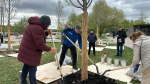 Московские единороссы провели патриотические субботники у мемориалов защитникам страны