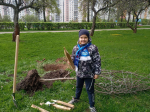 Московские единороссы провели патриотические субботники у мемориалов защитникам страны