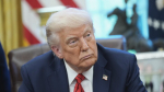 Представитель Белого дома Левитт: у Трампа растет разочарование Украиной и Россией