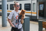 Внимание на путях: маршруты на диаметрах изменятся