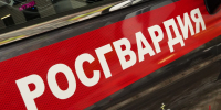Московские росгвардейцы задержали гражданина с поддельным документом - Росгвардия