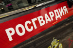 Московские росгвардейцы задержали гражданина с поддельным документом