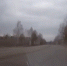 В Зеленогорске полицейские остановили машину с ребенком за рулем - M24.Ru