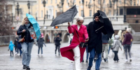 Сильный ветер с порывами до 17 м/с ожидается в Москве 5 мая - M24.Ru