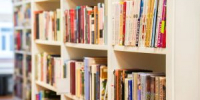 «Что случилось с Анной?»: литературная лекция состоится в библиотеке №19. Фото: Ксения Догонашева, «Вечерняя Москва» - Басманные вести
