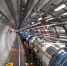 Большой адронный коллайдер - ГУ-ВШЭ