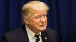 NYT: семья Трампа заработала 2 млрд долларов за месяц его президентства