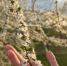 photo-2025-05-15-23-14-38 - Solncewonews.ru