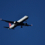 Turkish Airlines временно отменила рейсы из-за ограничений в аэропортах Москвы - M24.Ru
