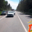 Автомобиль сбил лося на Егорьевском шоссе в Подмосковье - M24.Ru