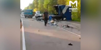 Один человек погиб в результате массового ДТП в Ленинградской области - M24.Ru