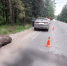 Автомобиль сбил лося в подмосковном Наро-Фоминске - M24.Ru