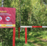 Четвертый класс пожарной опасности введен в лесах Подмосковья - M24.Ru