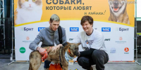 Сергей Собянин напомнил, кто может подать заявку на конкурс грантов для НКО - Район Ивановское