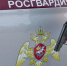 В Подмосковье росгвардейцы задержали мужчину, угрожавшего сожительнице убийством - Комсомольская Правда