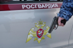 В Подмосковье росгвардейцы задержали мужчину, угрожавшего сожительнице убийством