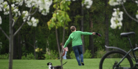 ВДНХ выпустила pet-friendly гид по Выставке и парку «Останкино» - Информационный Центр