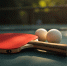 ping-pong-i-maci.jpg - Район Внуково