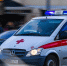 В Коломне во время грозы на девушку упало дерево - Комсомольская Правда