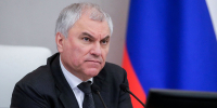 Володин анонсировал новый занопроект по миграционной политике - Вечерняя Москва