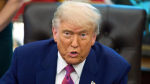 Трамп допустил посредничество Путина в конфликте Израиля и Ирана