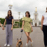 Как на ВДНХ развивают pet-friendly-инфраструктуру: журналистам рассказали, в какие локации гости могут прийти вместе со своими питомцами - Пресненский район
