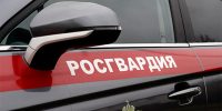 Фото: пресс-служба Росгвардии - Басманные вести