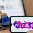 Wildberries получил предостережение от ФАС - M24.Ru