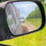 Трое медвежат вымогают у водителей еду на Камчатке - M24.Ru