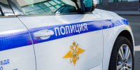 Полицейские района Хамовники задержали подозреваемого в краже сумки. Фото: Ксения Догонашева, «Вечерняя Москва» - Басманные вести