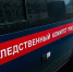 СК возбудил уголовное дело после обнаружения в лесу в Москве девочки с травмами - Комсомольская Правда