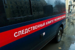 СК возбудил уголовное дело после обнаружения в лесу в Москве девочки с травмами