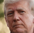 Трамп выразил недовольство отсутствием прогресса по Украине - M24.Ru