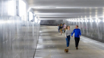 Собянин рассказал о создании безопасных пешеходных маршрутов через пути МЦД