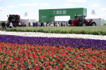 Завершился Всероссийский день поля 2025