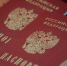 Госдума поддержала законопроект о расширении оснований для лишения гражданства - Вечерняя Москва