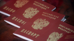 Госдума поддержала законопроект о расширении оснований для лишения гражданства