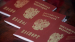 Госдума поддержала законопроект о расширении оснований для лишения гражданства