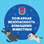Пожарная безопасность домашних животных
