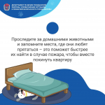 Пожарная безопасность домашних животных