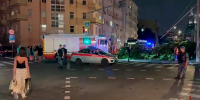 Росгвардейцы предотвратили трагедию после падения дерева в Москве - Росгвардия