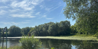 Экскурсия по знаковым местам пройдет в Богородском, фото - Мой район