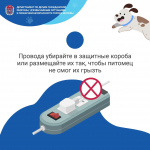 Пожарная безопасность домашних животных
