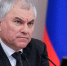 Володин призвал МВД присмотреться к работе Минтруда - Вечерняя Москва