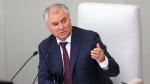 Володин призвал МВД обратить внимание на работу Минтруда с мигрантами
